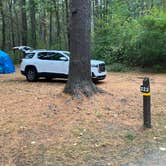 Review photo of Lorraine Park Campground — Harold Parker State Forest by Roger W., October 14, 2023