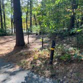 Review photo of Lorraine Park Campground — Harold Parker State Forest by Roger W., October 14, 2023