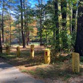 Review photo of Lorraine Park Campground — Harold Parker State Forest by Roger W., October 14, 2023