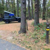 Review photo of Lorraine Park Campground — Harold Parker State Forest by Roger W., October 14, 2023