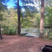 Review photo of Lorraine Park Campground — Harold Parker State Forest by Ligmie P., September 24, 2025