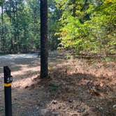 Review photo of Lorraine Park Campground — Harold Parker State Forest by Roger W., October 14, 2023