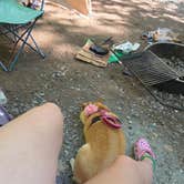 Review photo of Lorraine Park Campground — Harold Parker State Forest by Nicole S., September 1, 2026