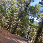 Review photo of Lorraine Park Campground — Harold Parker State Forest by Roger W., October 14, 2023