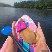 Review photo of Lorraine Park Campground — Harold Parker State Forest by Nicole S., September 1, 2026