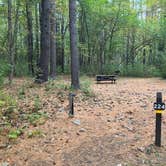 Review photo of Lorraine Park Campground — Harold Parker State Forest by Roger W., October 14, 2023