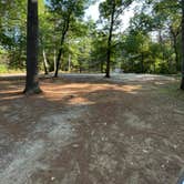 Review photo of Lorraine Park Campground — Harold Parker State Forest by Jacob D., September 16, 2024