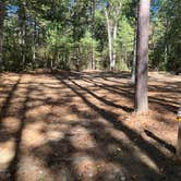 Review photo of Lorraine Park Campground — Harold Parker State Forest by Roger W., October 14, 2023