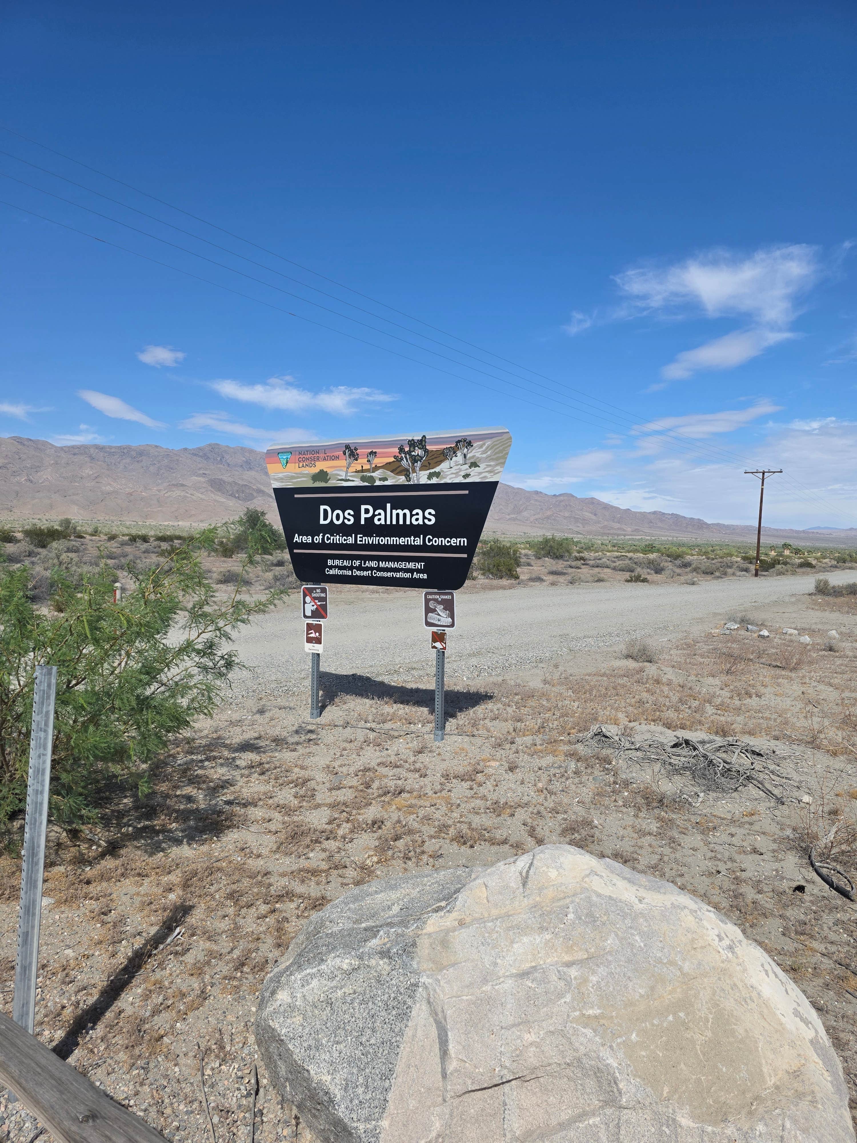 Camper-submitted photo at Los Palmas Oasis near Thermal, CA