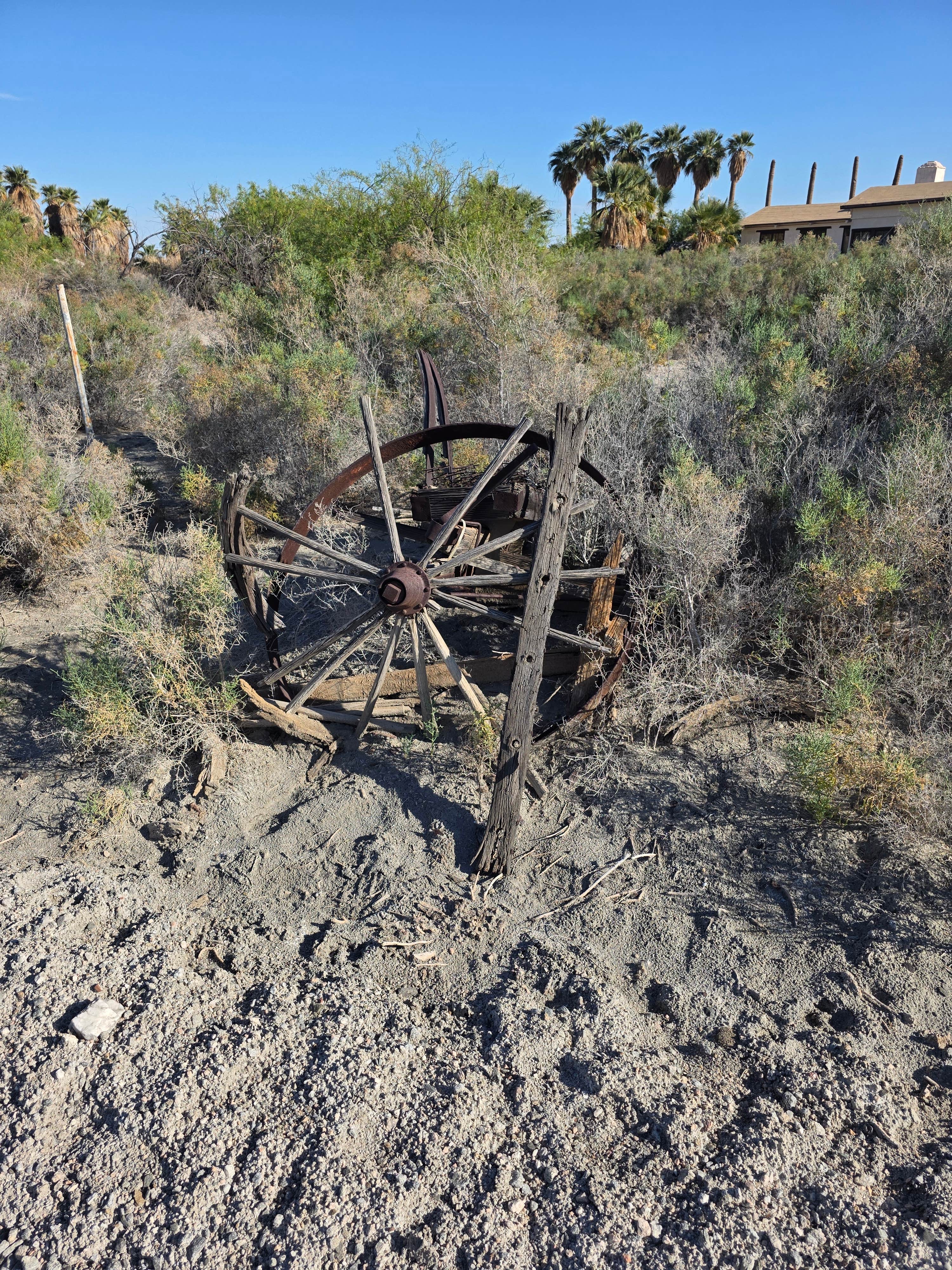 Camper-submitted photo at Los Palmas Oasis near Thermal, CA