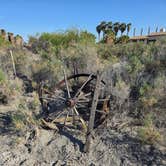 Review photo of Los Palmas Oasis by Andrew H., April 7, 2026