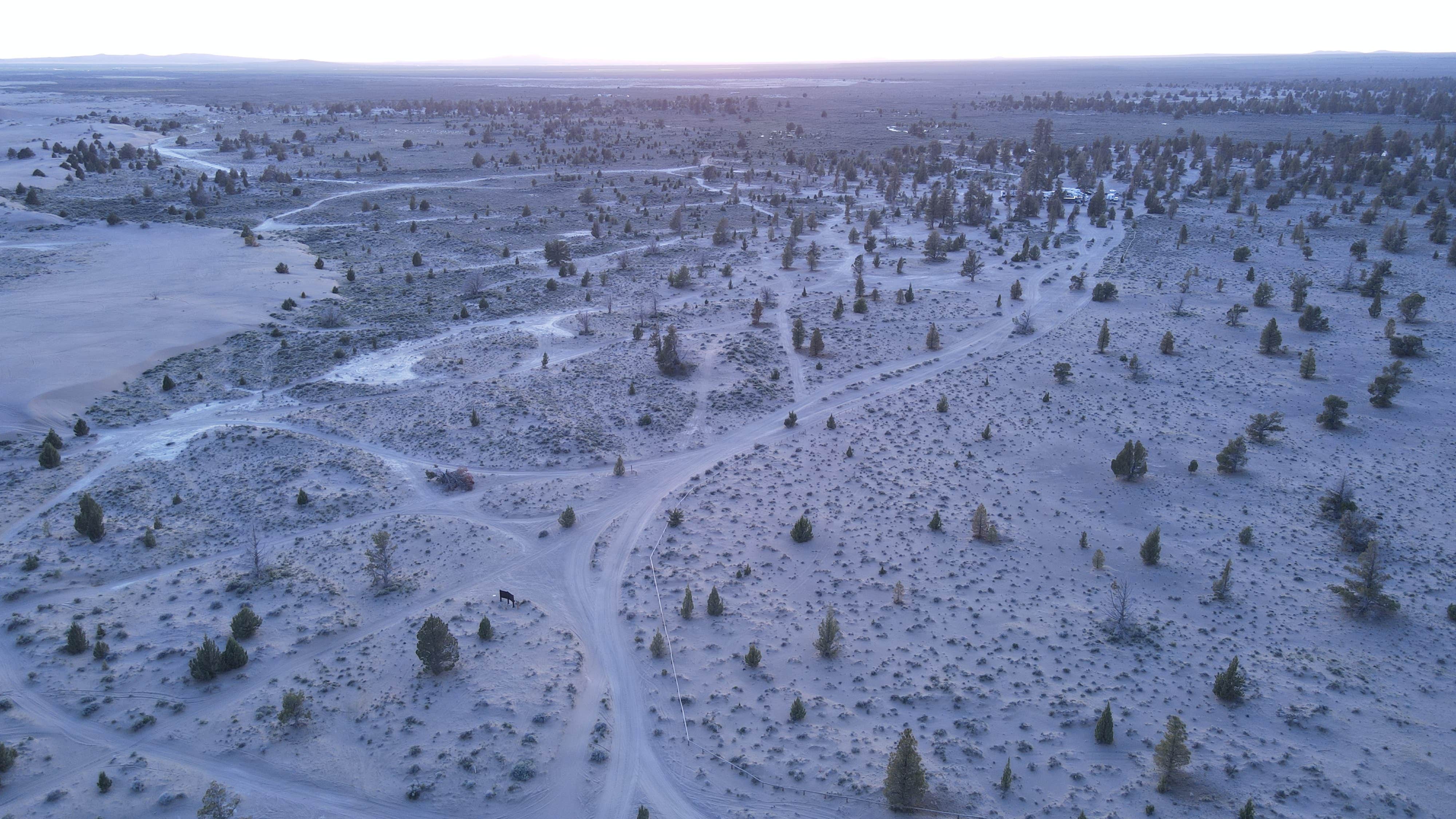 Camper-submitted photo at Lost Forest/Dunes/Fossil ACEC near Christmas Valley, OR