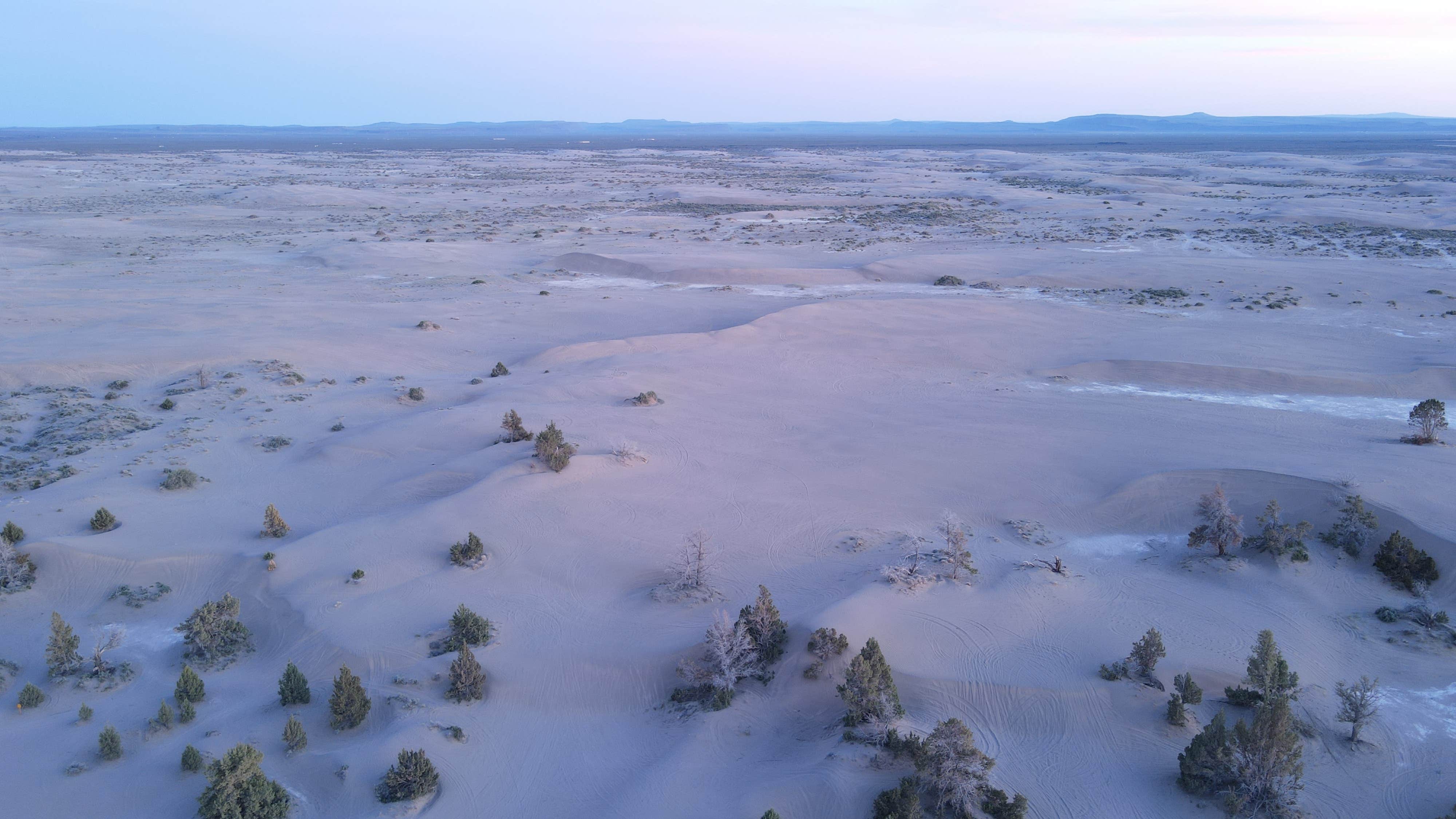 Camper-submitted photo at Lost Forest/Dunes/Fossil ACEC near Christmas Valley, OR