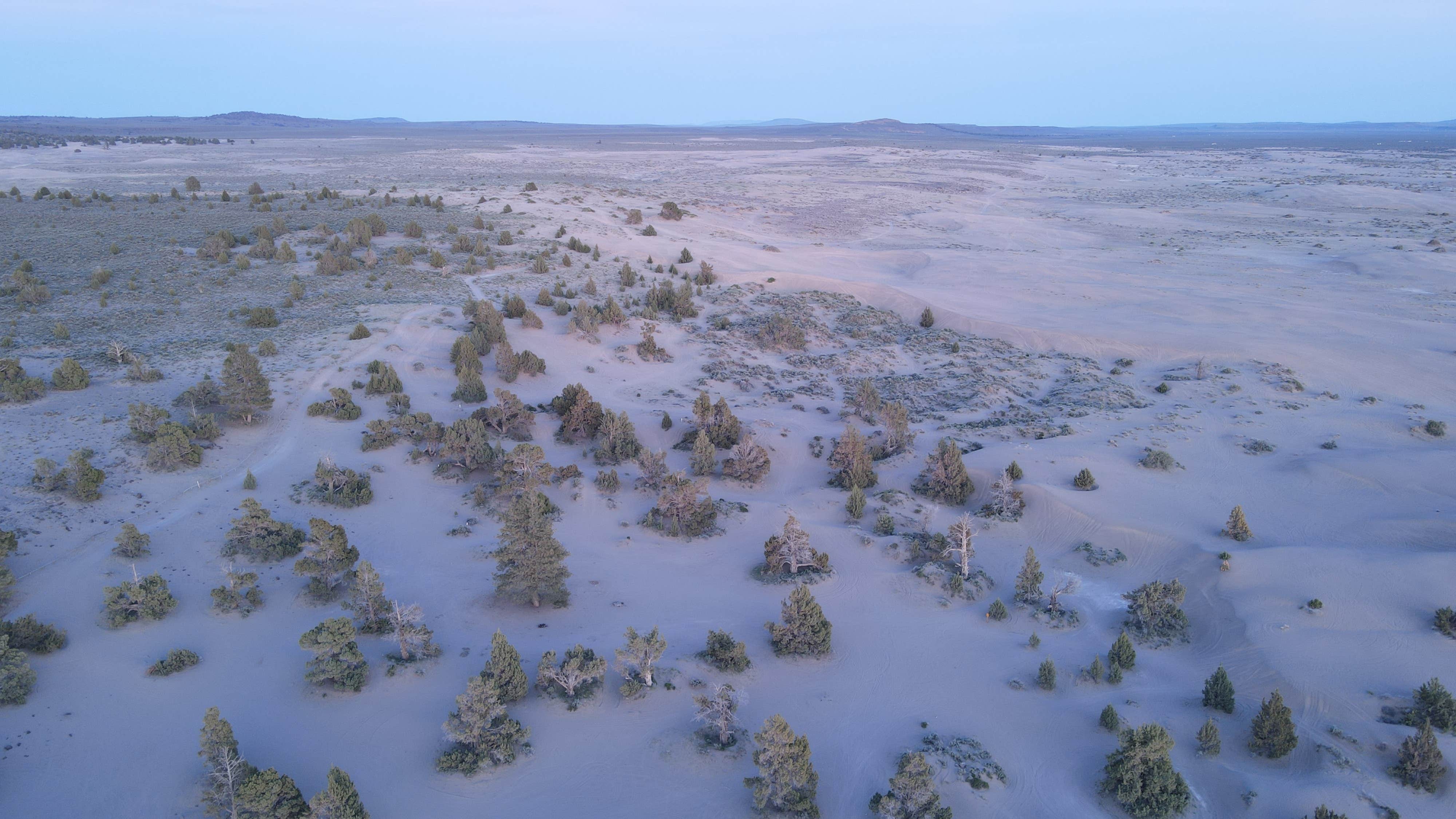 Camper-submitted photo at Lost Forest/Dunes/Fossil ACEC near Christmas Valley, OR