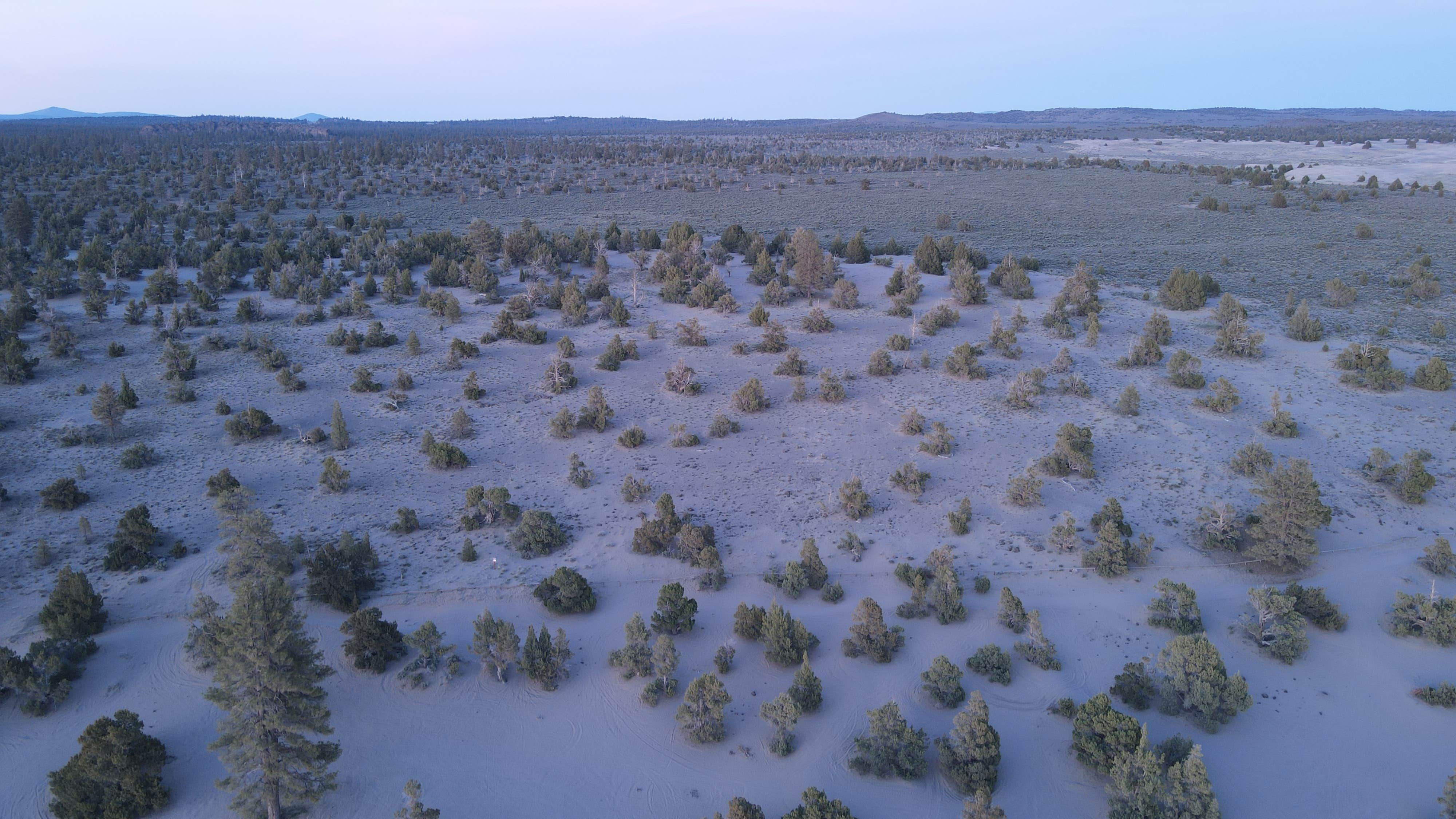 Camper-submitted photo at Lost Forest/Dunes/Fossil ACEC near Christmas Valley, OR