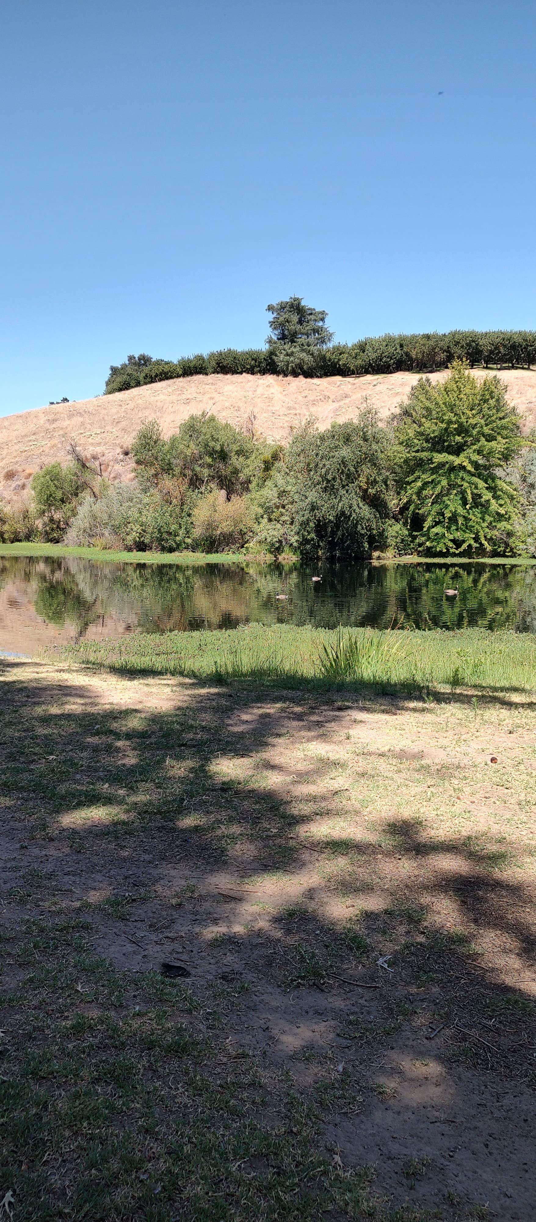 Camper-submitted photo at Lost Lake Campground near Prather, CA