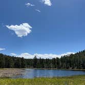 Review photo of Lost Lake Dispersed by Haley H., May 19, 2024