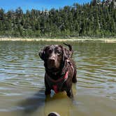 Review photo of Lost Lake Dispersed by Rosa B., June 25, 2025