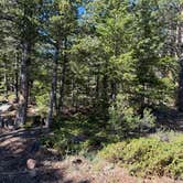 Review photo of Lost Lake Dispersed by Mike P., June 15, 2026