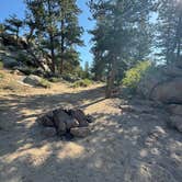 Review photo of Lost Lake Dispersed by Lexi G., May 31, 2025