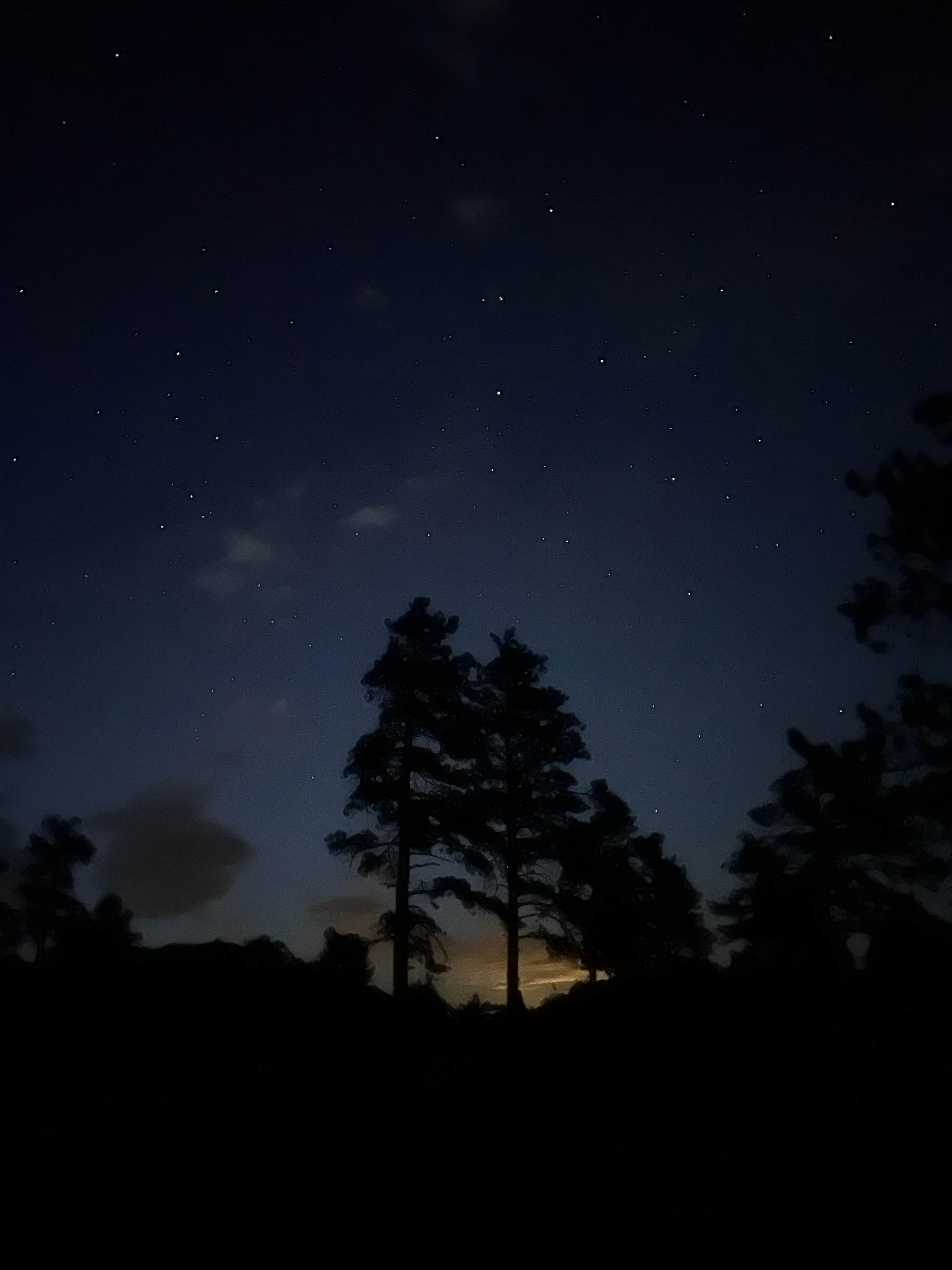 Tyler S.'s photo of a dispersed camping area at Lost Lake Dispersed near Ault, CO