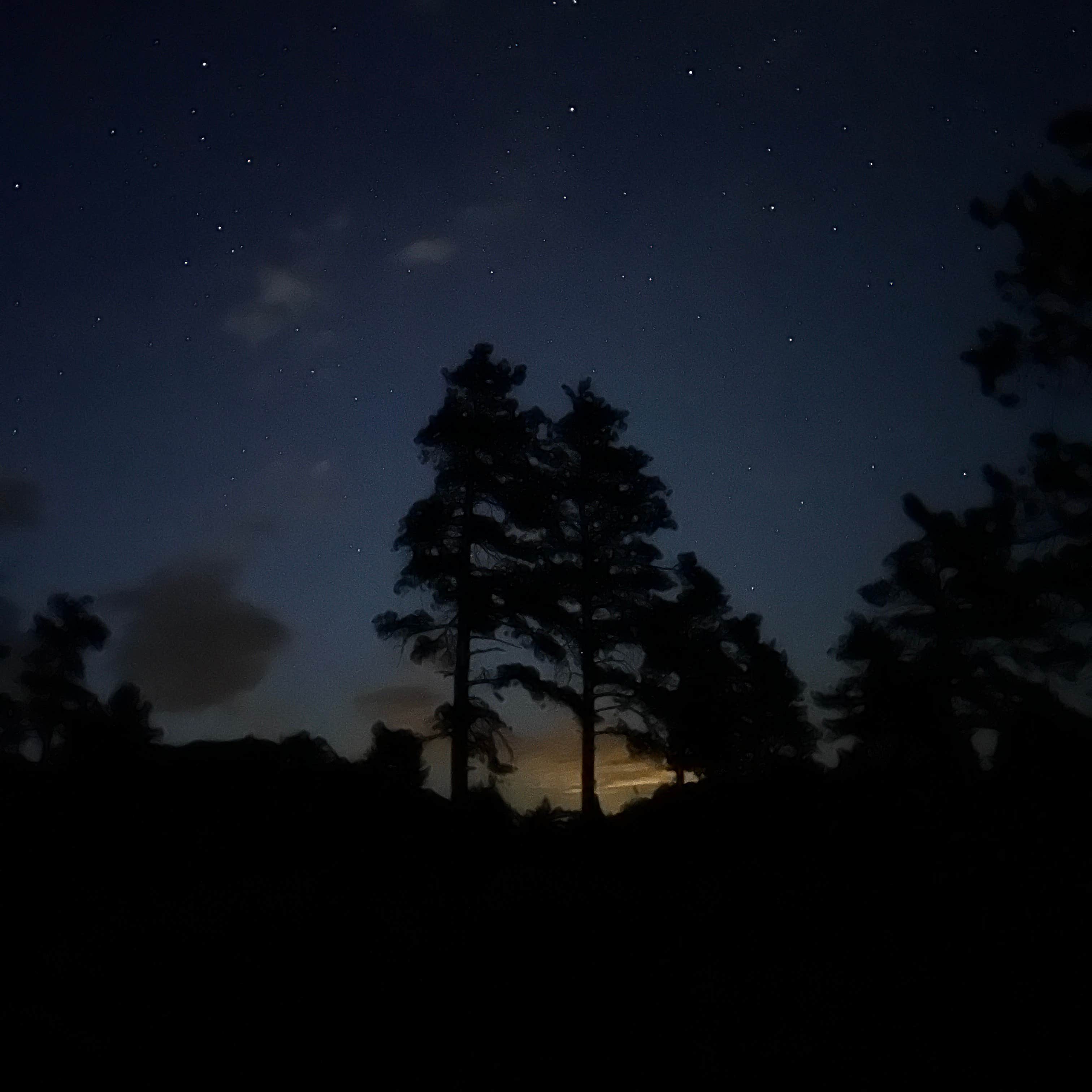 Lost Lake Dispersed Camping Red Feather Lakes, CO