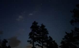 Tyler S.'s photo of a dispersed camping area at Lost Lake Dispersed near Laporte, CO