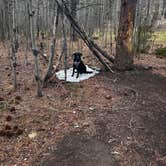 Review photo of Lost Lake Dispersed by Ethan C., May 3, 2026