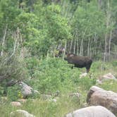 Review photo of Lost Lake Dispersed by Amanda H., August 4, 2025