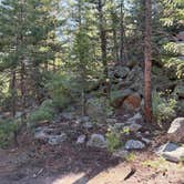 Review photo of Lost Lake Dispersed by Mike P., June 15, 2026