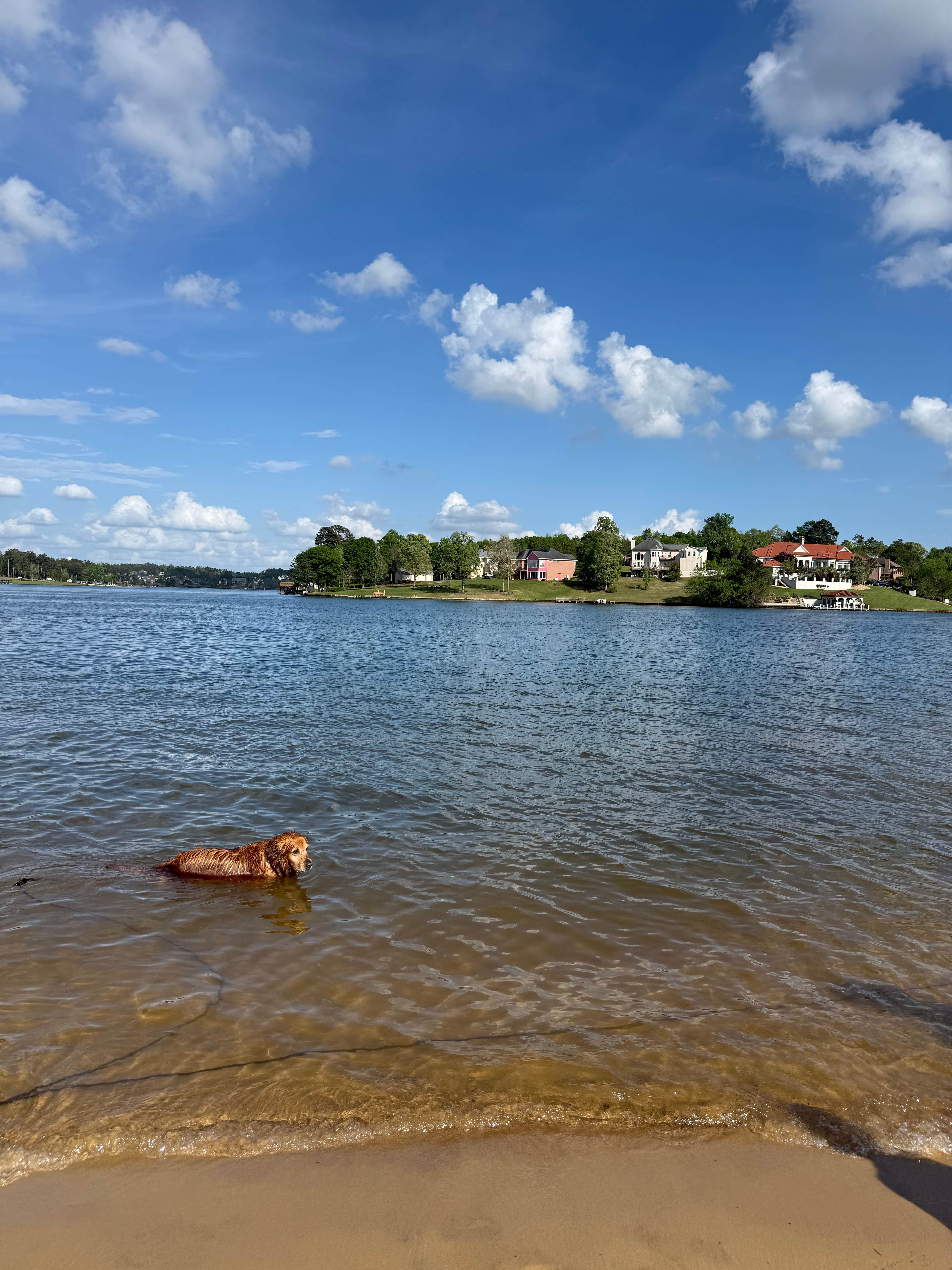 Camper-submitted photo at Lost Lake near Macon, GA