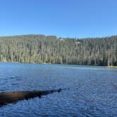Review photo of Lost Lake Resort And Campground — Mt. Hood National Forest by Sarah S., September 21, 2025