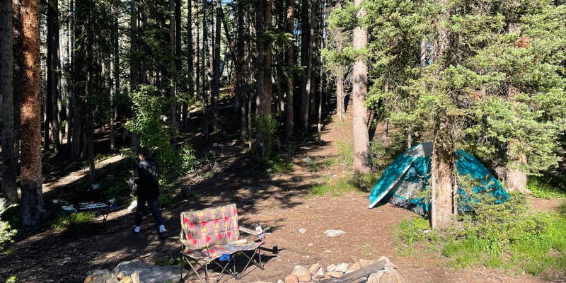 Camper submitted image from Lost Lake Slough