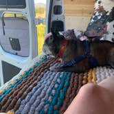 Review photo of Lost Moose Meadows Campground by Hillary F., September 1, 2026