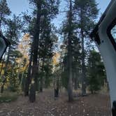 Review photo of Lost Mountain Site-3 by Katharina J., October 3, 2025