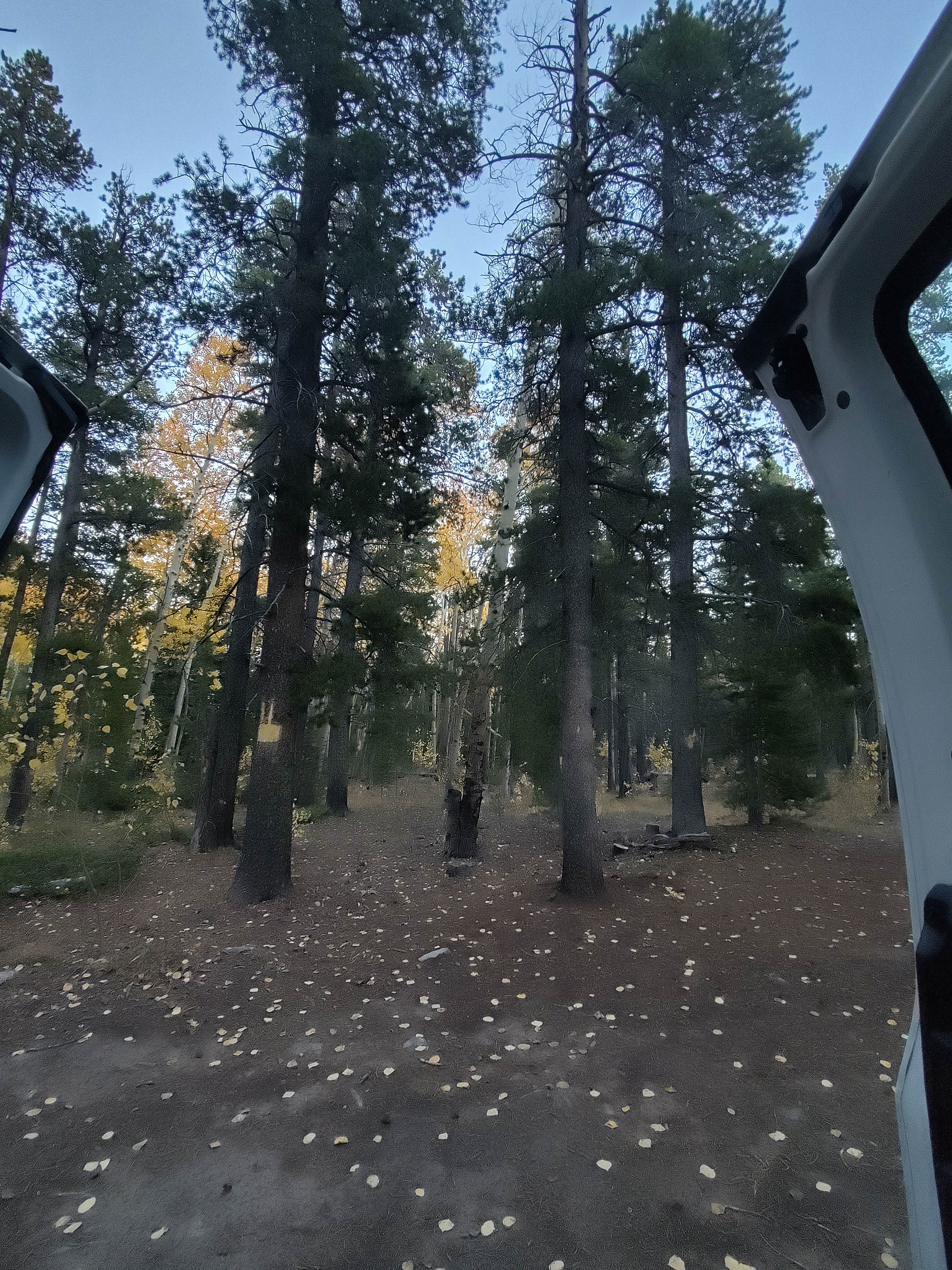 Camper submitted image from Lost Mountain Site-3 - 5
