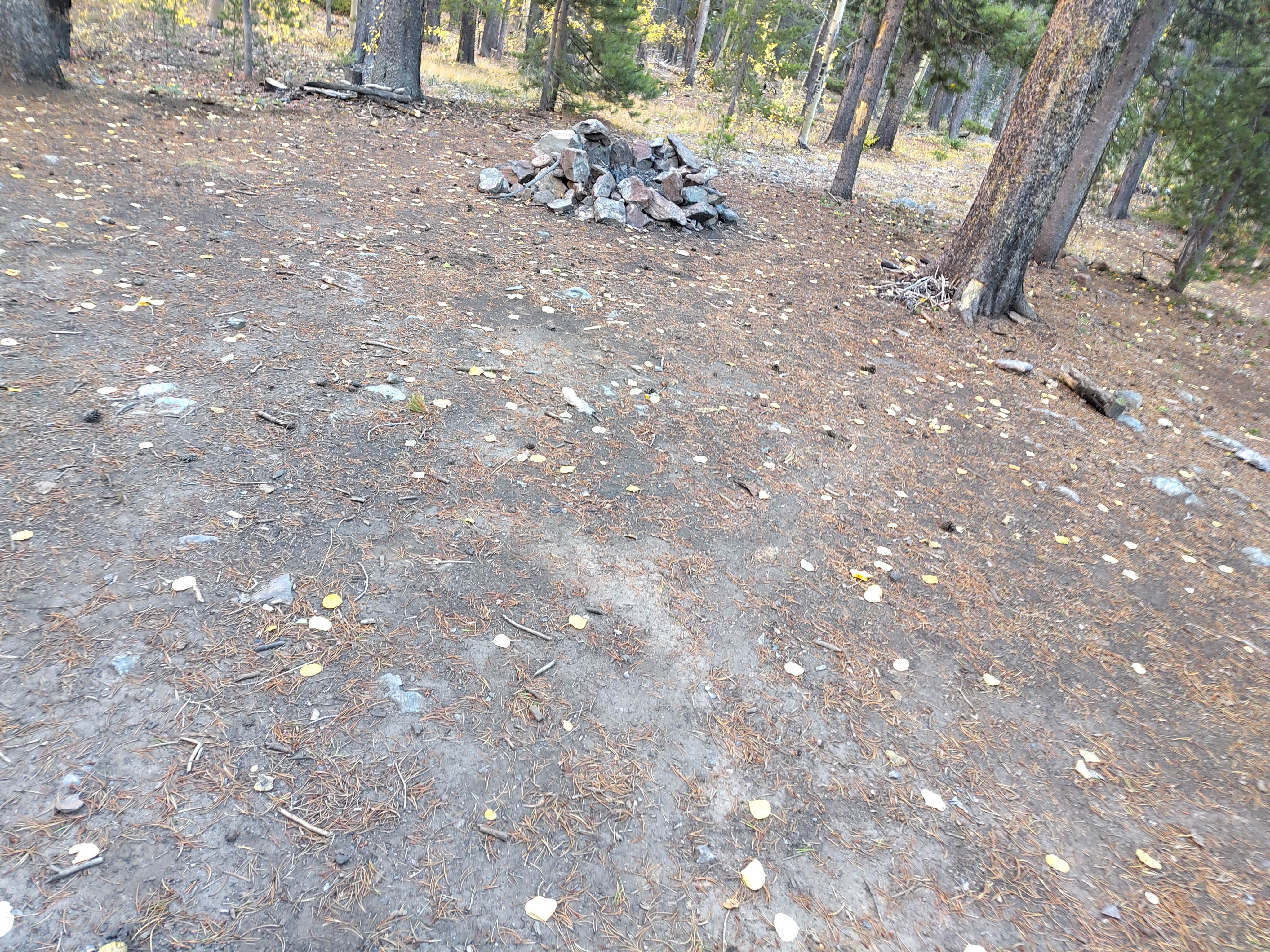 Camping near Fooses Creek Dispersed Camping: Lost Mountain Site-3, Monarch, Colorado