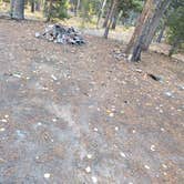 Review photo of Lost Mountain Site-3 by Katharina J., October 3, 2025