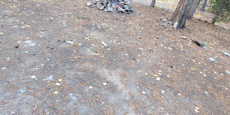 Camper submitted image from Lost Mountain Site-3