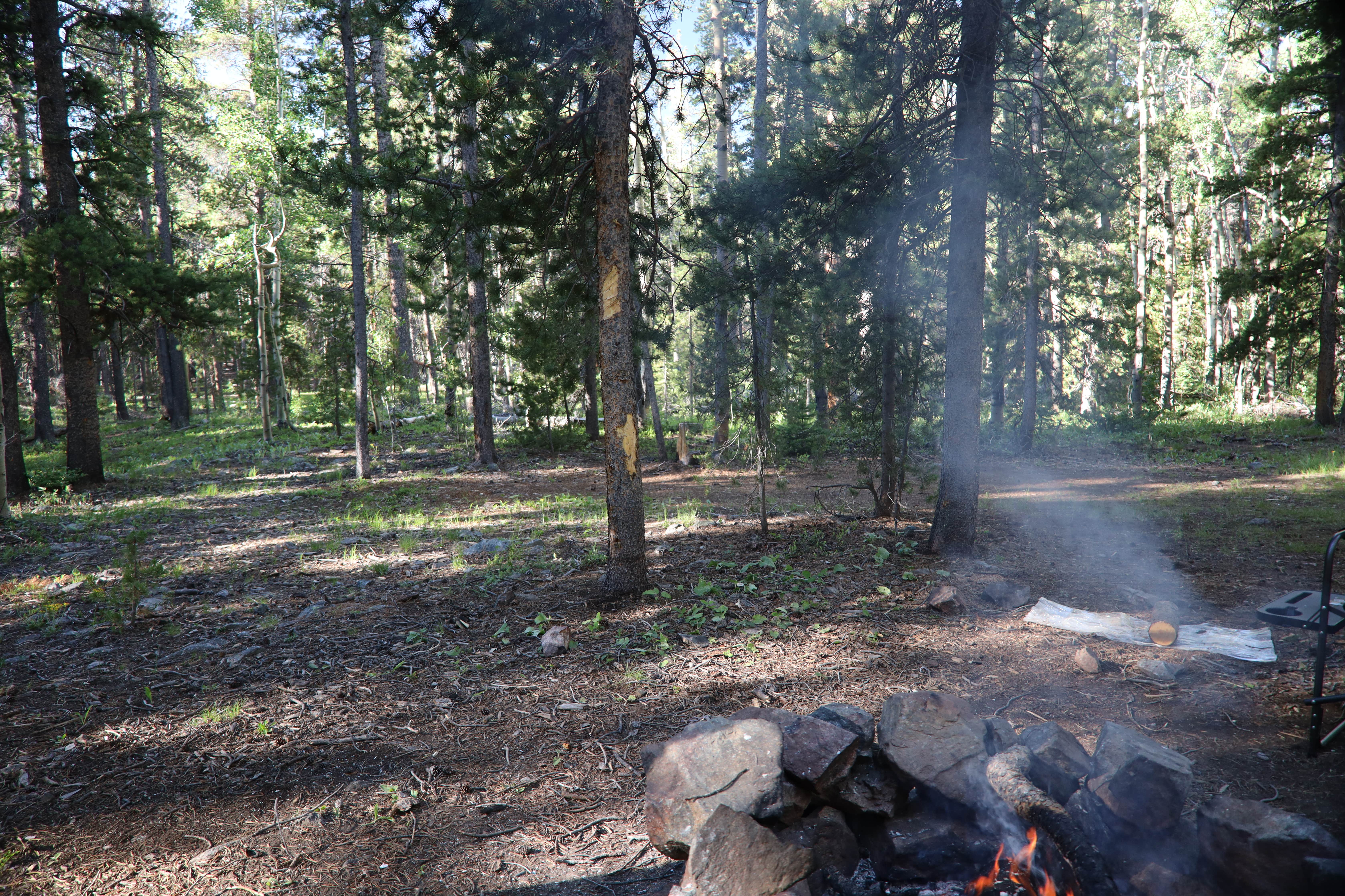 Camping near 228A Dispersed Campsite: Lost Mountain Site-3, Monarch, Colorado