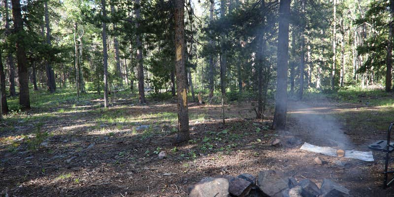 Camper submitted image from Lost Mountain Site-3