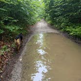 Review photo of Lost River Valley Campground by susan F., June 29, 2026