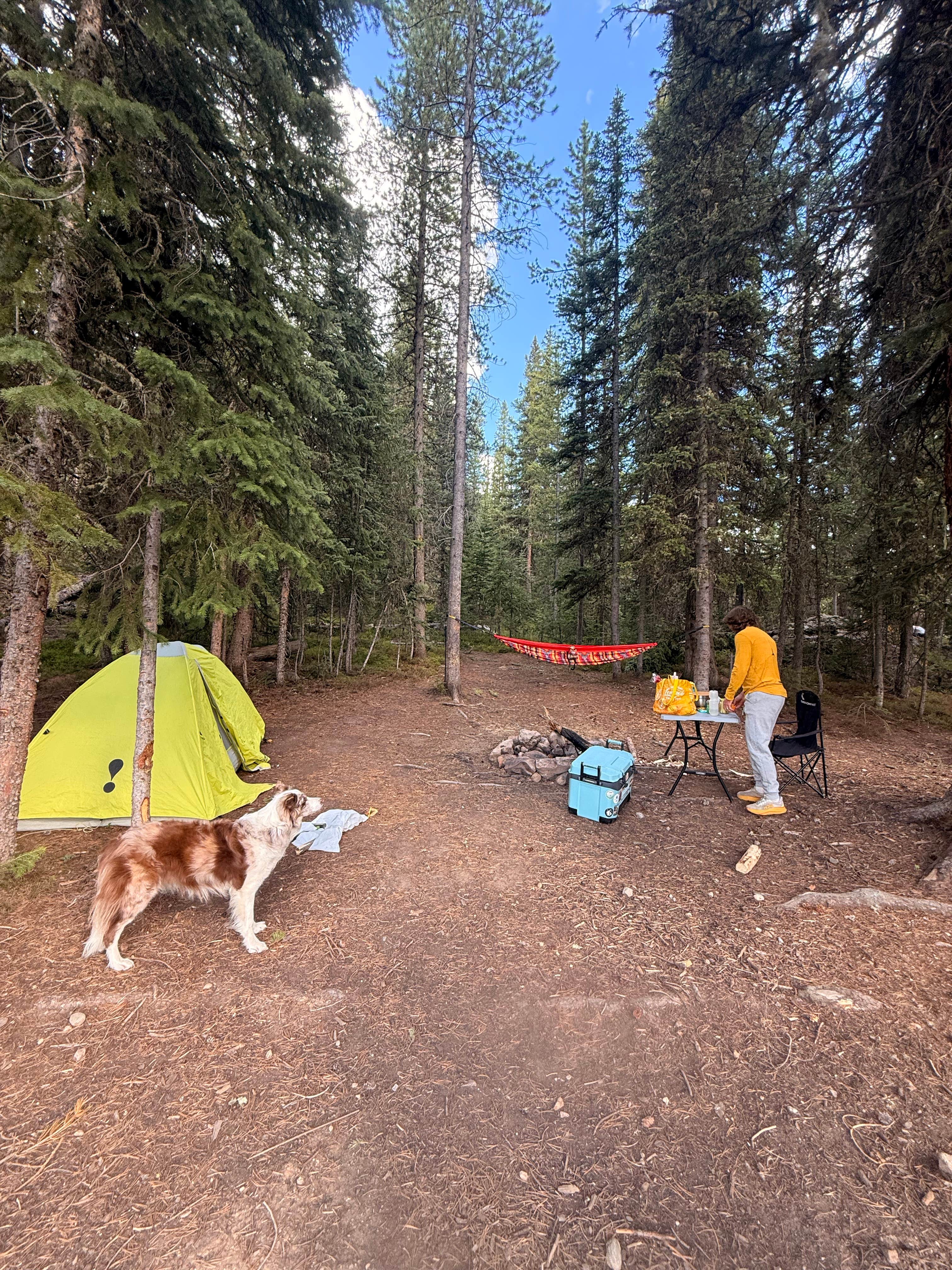 Jamie W.'s photo of tent camping at The Lost Site - Dispersed Campsite near Parshall, CO