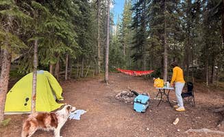 Jamie W.'s photo at The Lost Site - Dispersed Campsite near Winter Park, CO