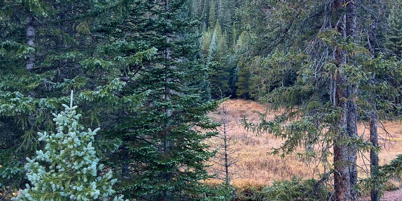 Camper submitted image from The Lost Site - Dispersed Campsite