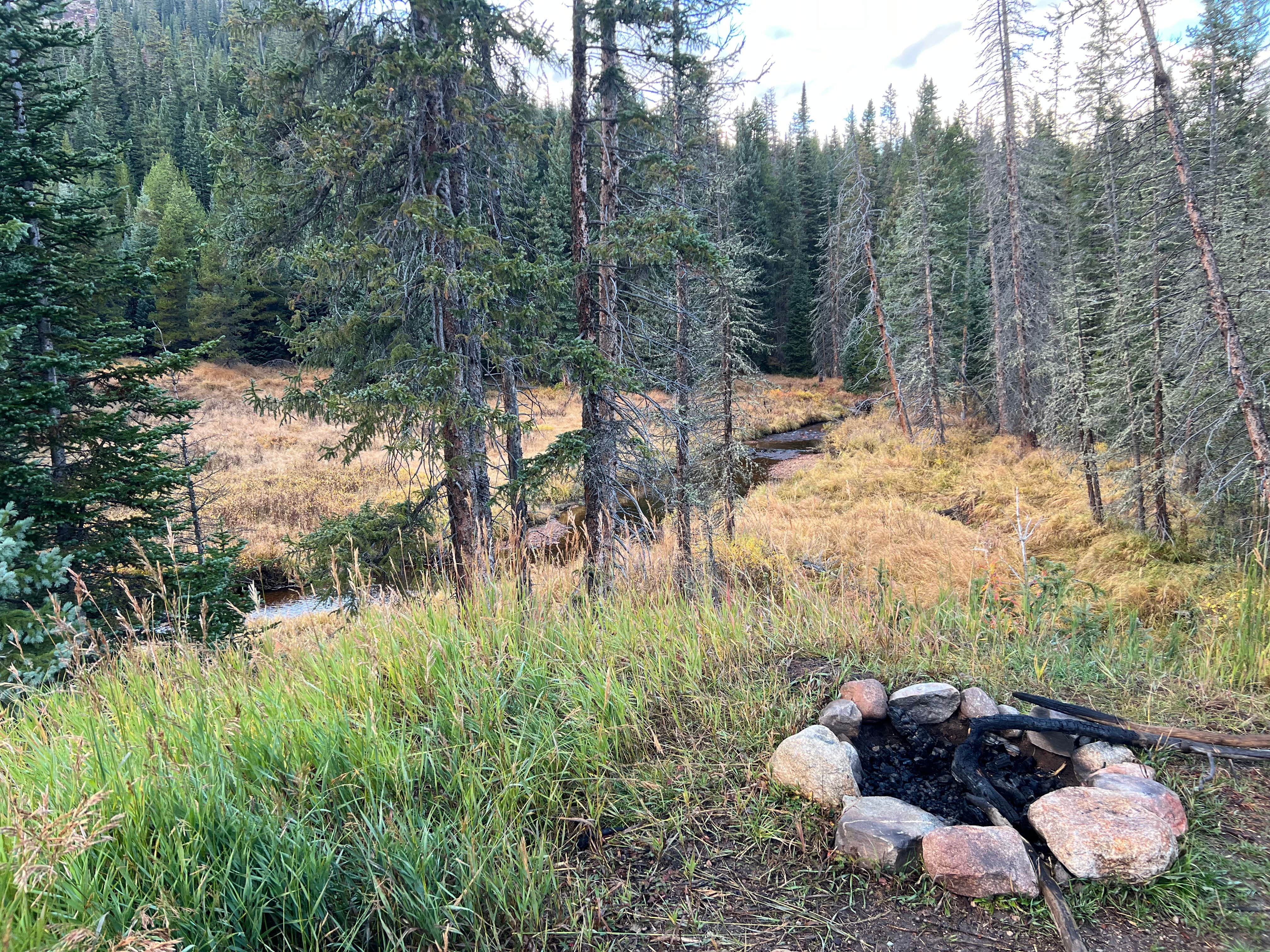 Camper-submitted photo at The Lost Site - Dispersed Campsite near Dillon, CO