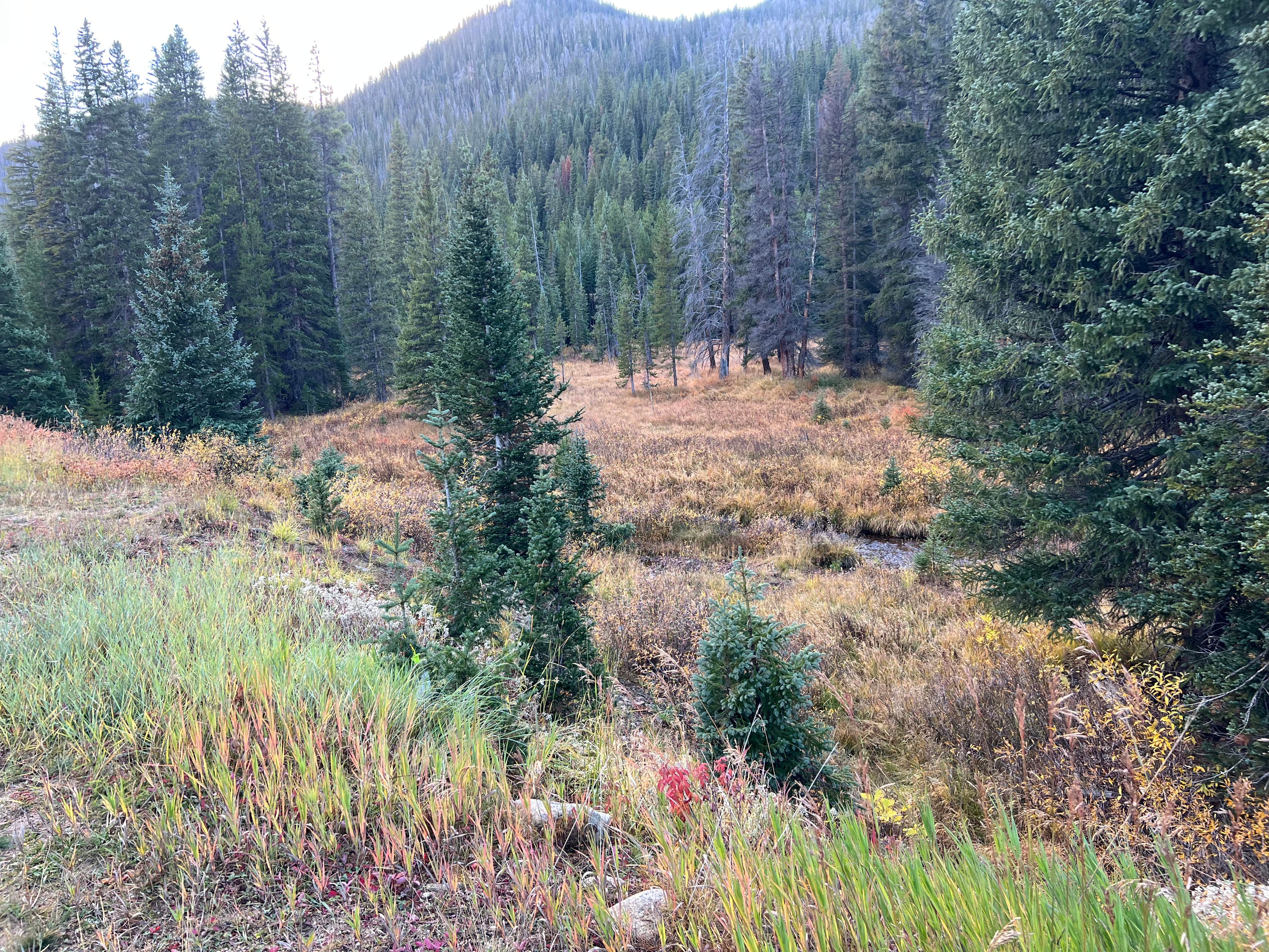 Camper-submitted photo at The Lost Site - Dispersed Campsite near Dillon, CO