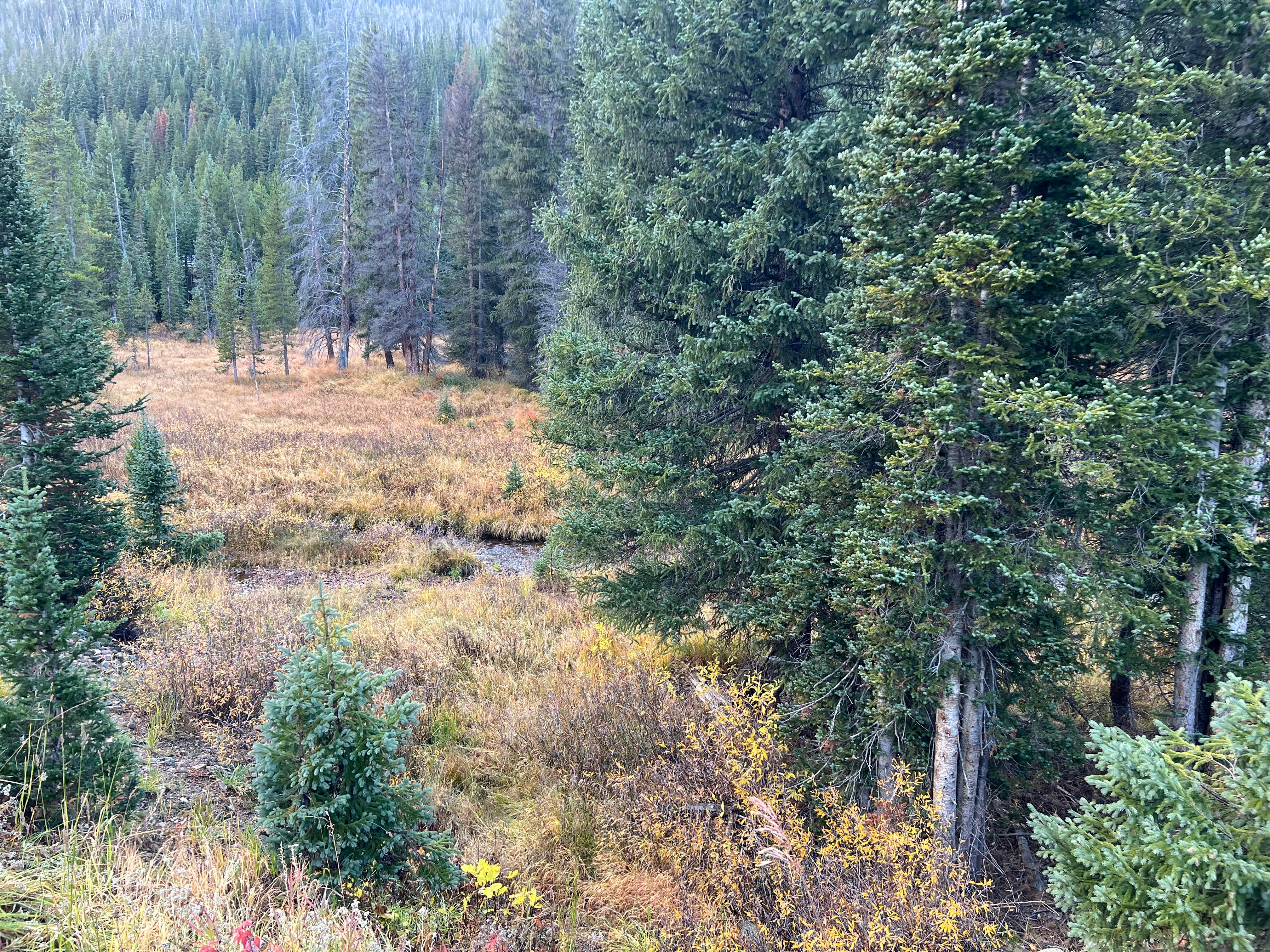 Camper-submitted photo at The Lost Site - Dispersed Campsite near Dillon, CO