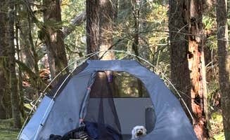 Jessica's photo at Lots of Dispersed Sites Along River near Rhododendron, OR