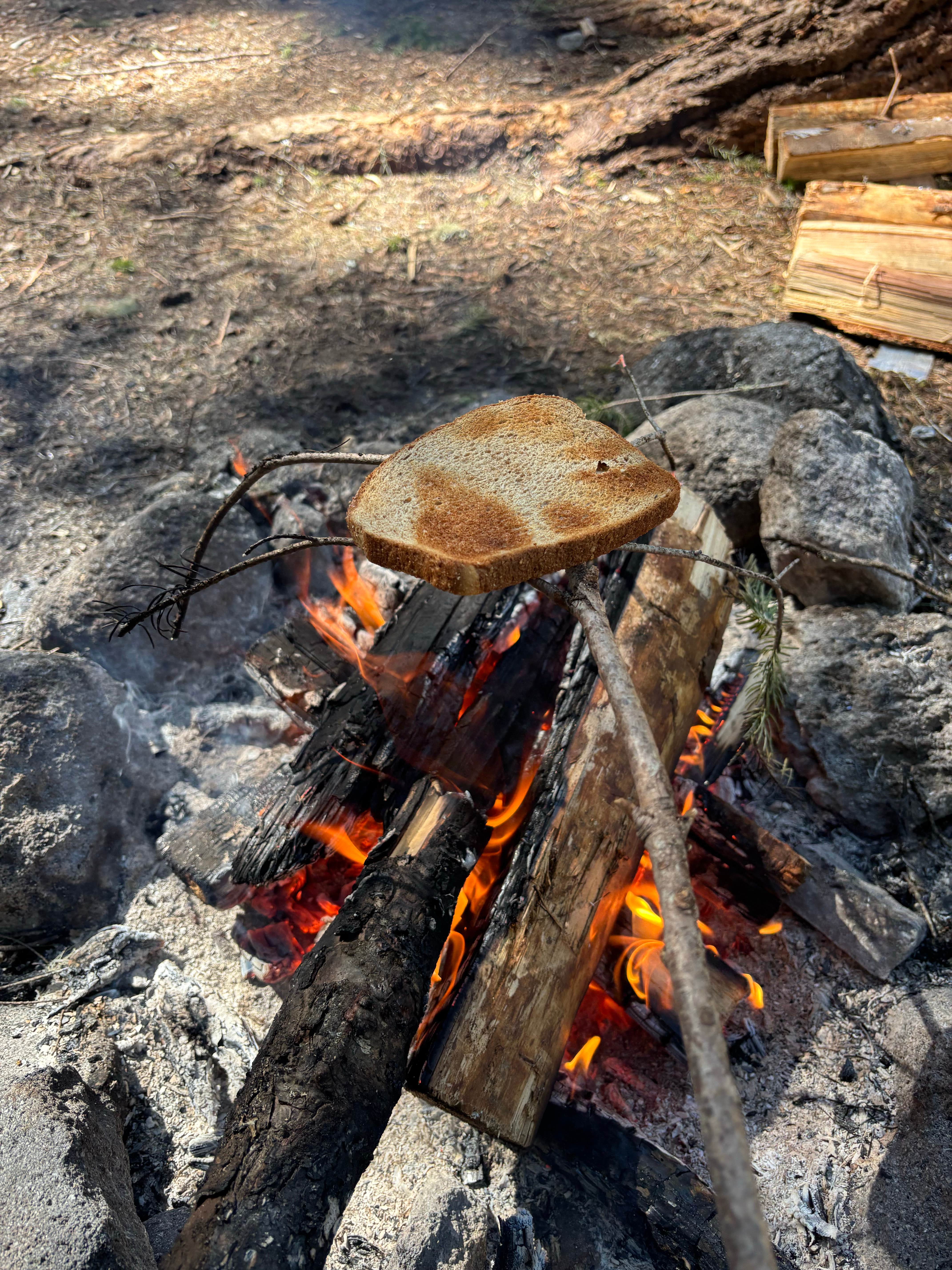 Camper-submitted photo at Lots of Dispersed Sites Along River near Oregon City, OR